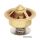Thermostat for MerCruiser V6 - 170 degree