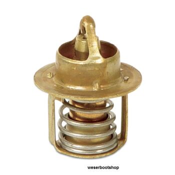 Thermostat (110°) für Chrysler/Force