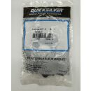 Quicksilver Mercury Vergaser Reparatur Satz 2 Takt 10-20-PS